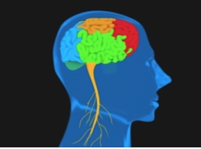 Ayurvedic Treatments in Townsville