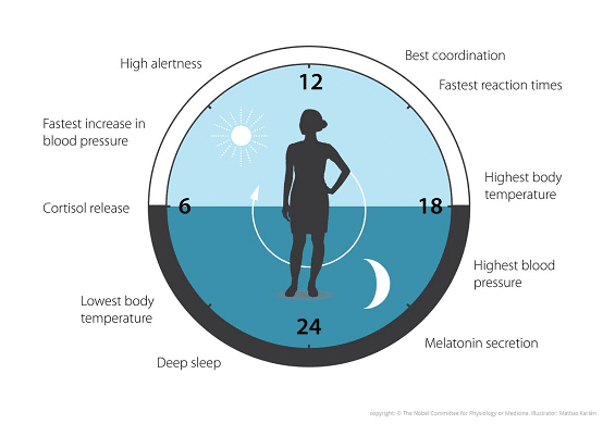 Ayurvedic Centre in Townsville