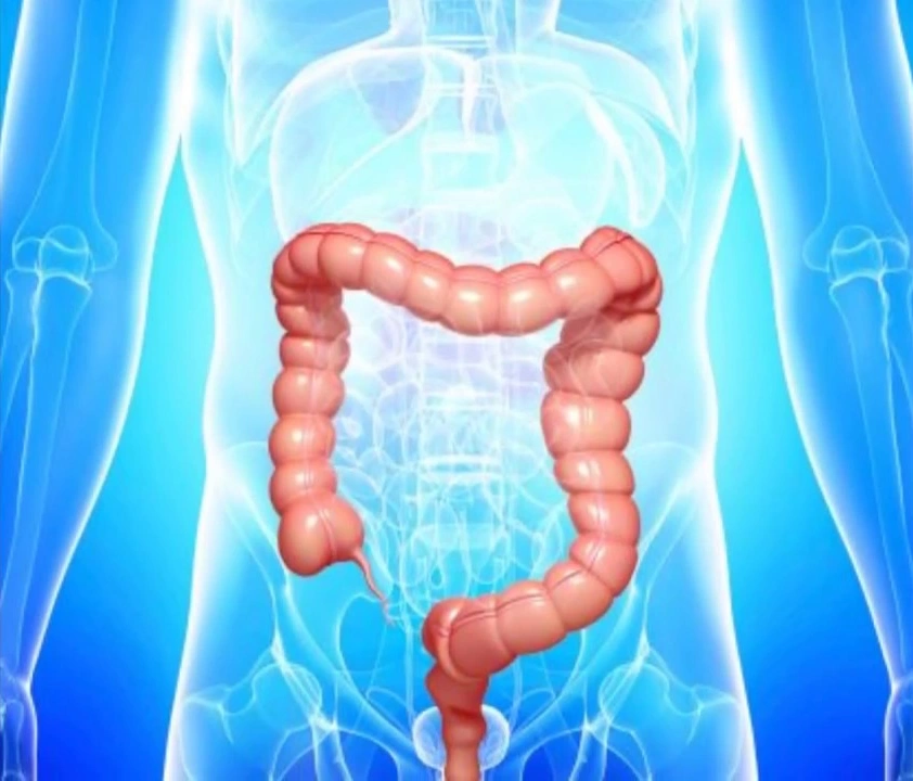 panchakarma detox methods sydney
