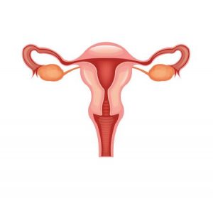 Ayurvedic Uterine and Vaginal Detox