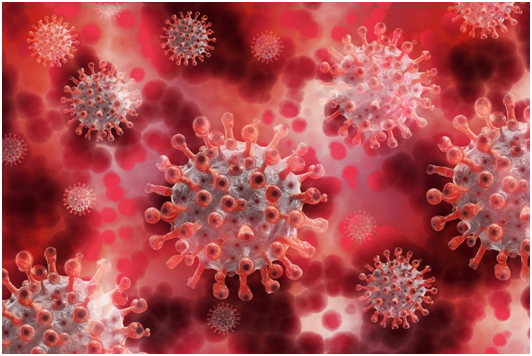 coronavirus 