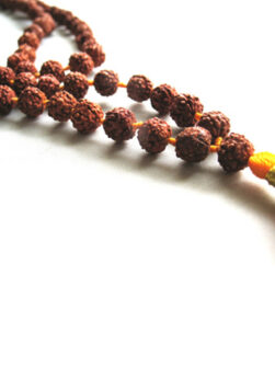 Rudraksha Mala 108+1