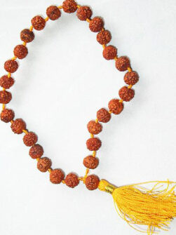 Rudraksha Mala 27+1