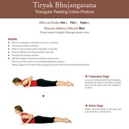 YATAN Yoga